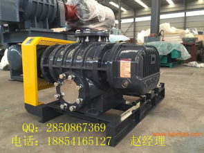 供應沼氣羅茨鼓風機 價格選型 廠家直銷,供應沼氣羅茨鼓風機 價格選型 廠家直銷生產(chǎn)廠家,供應沼氣羅茨鼓風機 價格選型 廠家直銷價格