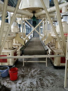 【武漢的木屑顆粒機】-