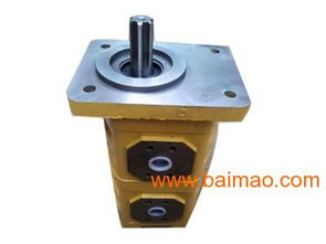 cbgj雙聯(lián)齒輪油泵,專業(yè)的cbgj雙聯(lián)齒輪油泵 ,cbgj雙聯(lián)齒輪油泵,專業(yè)的cbgj雙聯(lián)齒輪油泵 生產(chǎn)廠家,cbgj雙聯(lián)齒輪油泵,專業(yè)的cbgj雙聯(lián)齒輪油泵 廠家直銷